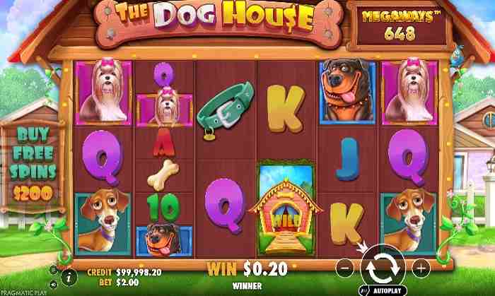The Dog House Megaways
