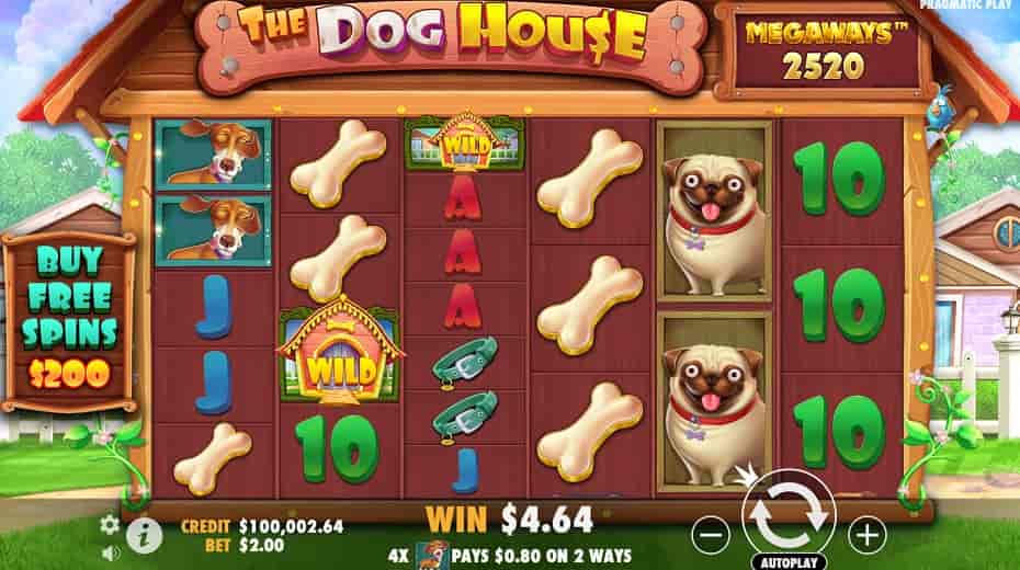 The Dog House Megaways