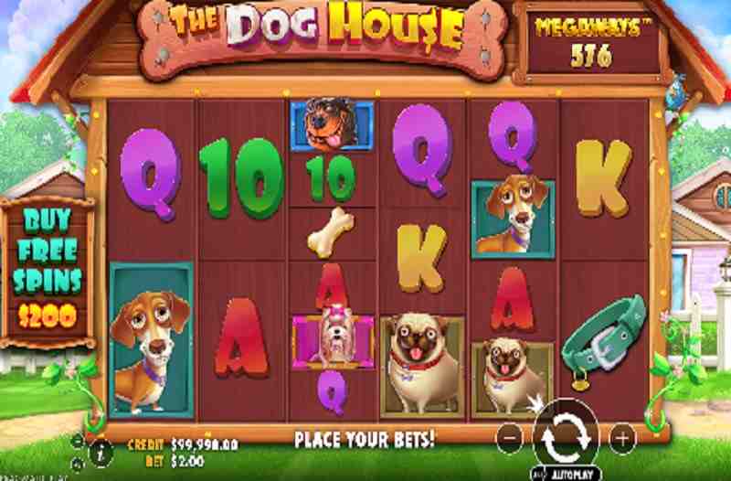 The Dog House Megaways