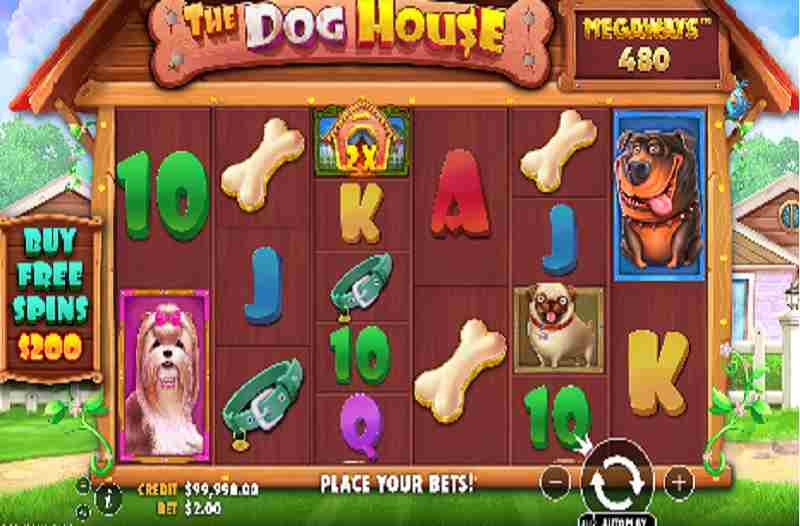 The Dog House Megaways