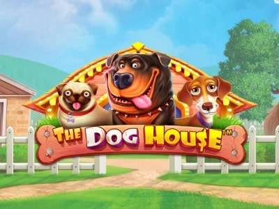 The Dog House