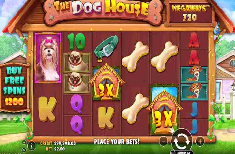 The Dog House Megaways