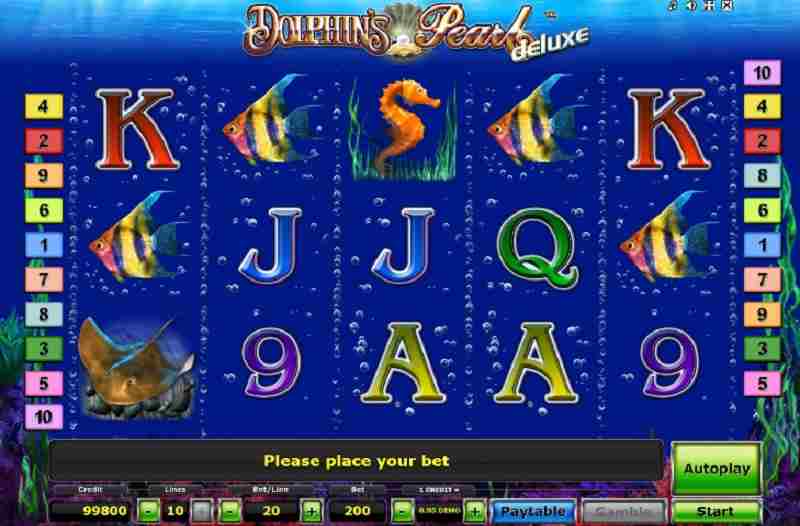 Dolphins Pearl Deluxe