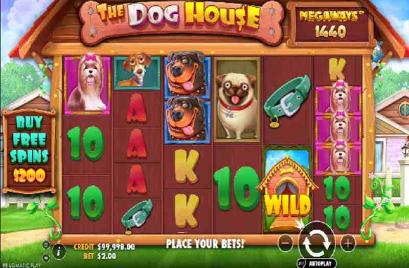 The Dog House Megaways