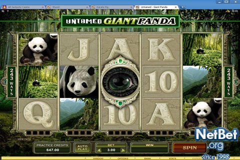 Giant panda slot machine