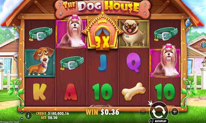 The Dog House
