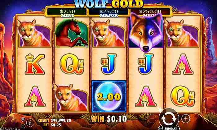 Wolf Gold