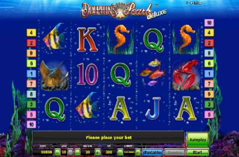 Dolphins Pearl Deluxe