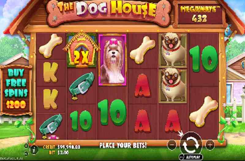 The Dog House Megaways