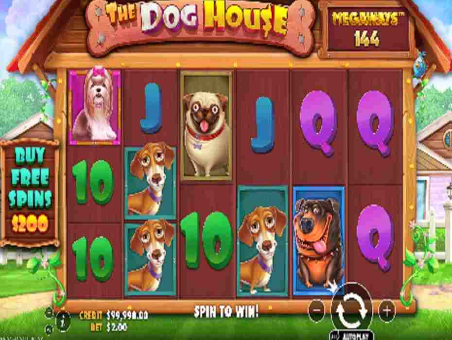 The Dog House Megaways