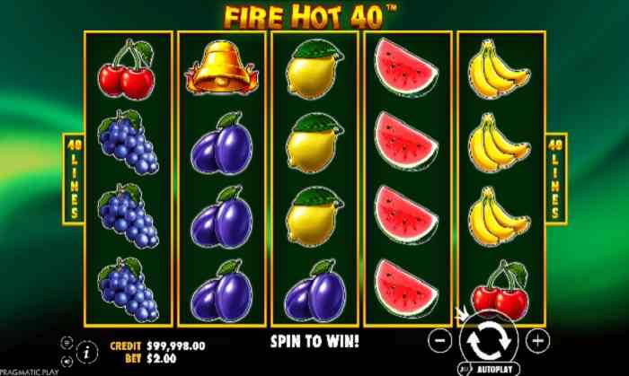 Wild Hot 40