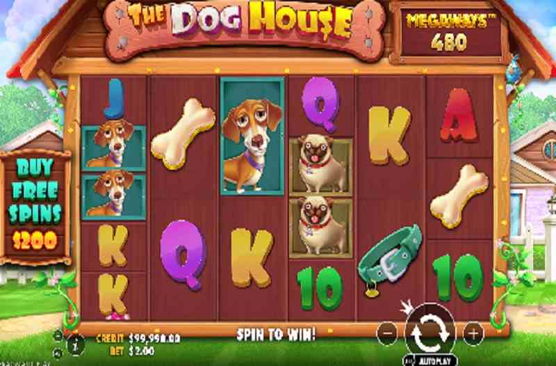 The Dog House Megaways