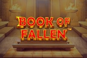 Book of The Fallen