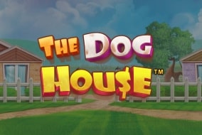 The Dog House