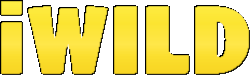 iWild