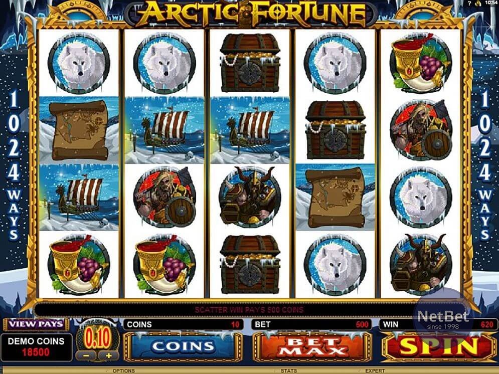 Arctic Fortune Video Slot