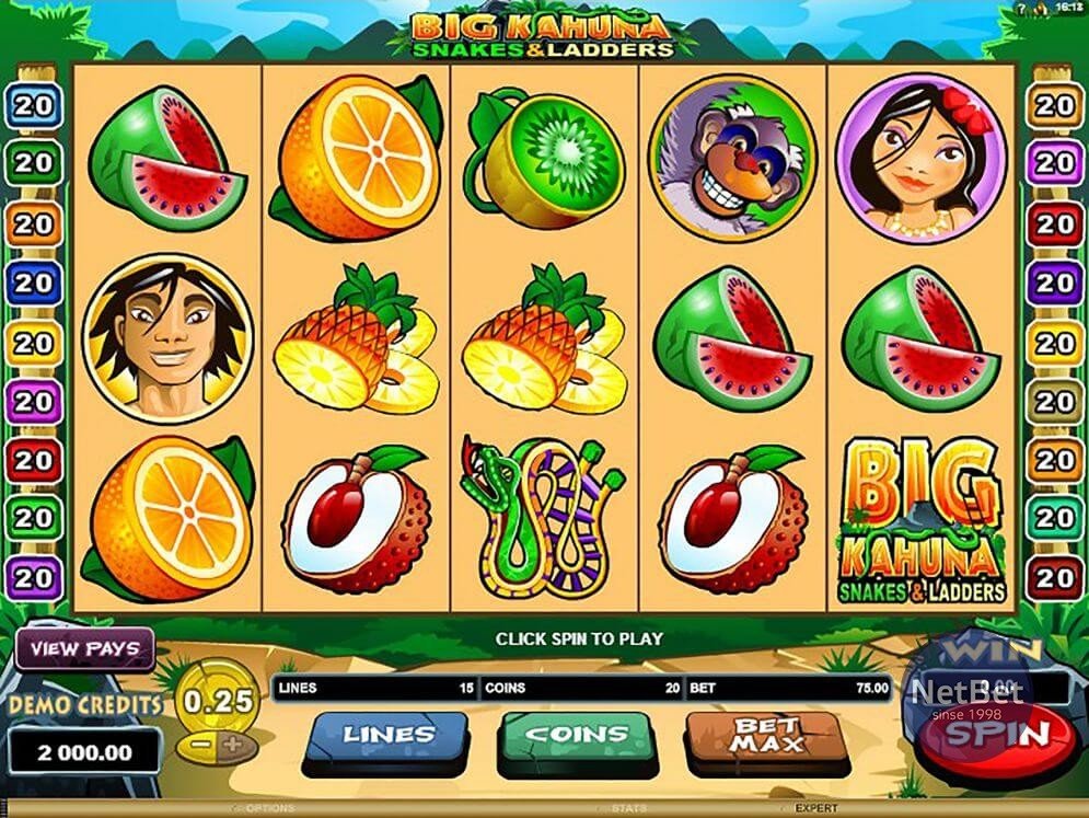 Big Kahuna Snakes and Ladders Slot