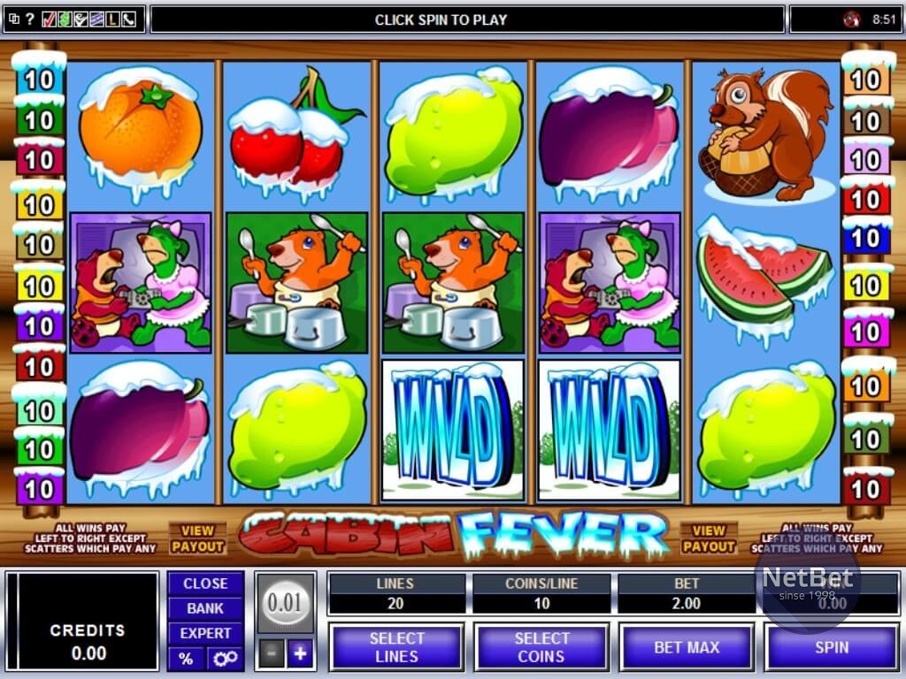 Cabin Fever Slot