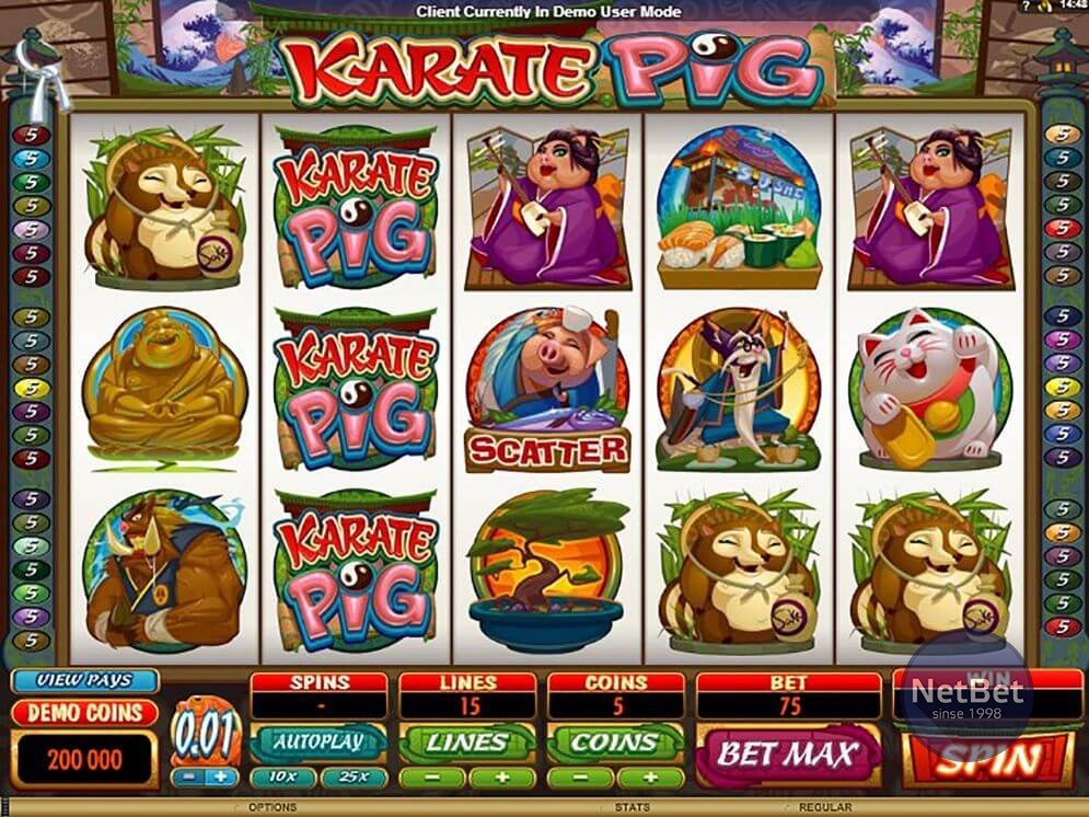 Karate Pig Slot